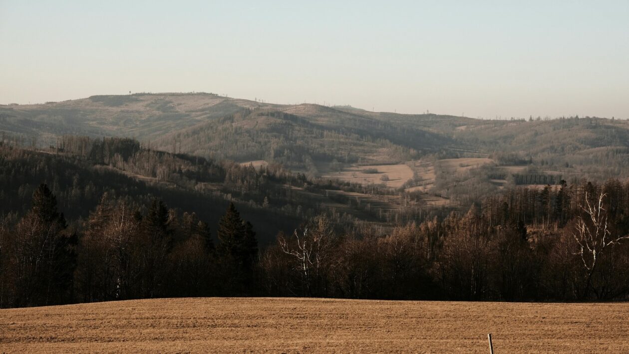 Otvorené vzdelávacie zdroje: OER, preprinty a repozitáre ako lacná alternatíva učebníc