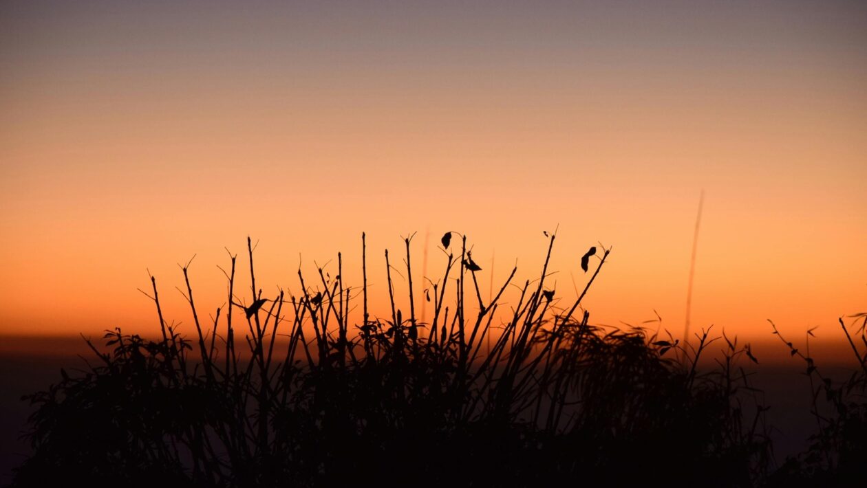 Vizualizácia dát: minimalistický dizajn grafov, ktorý zjednodušuje hodnotenie