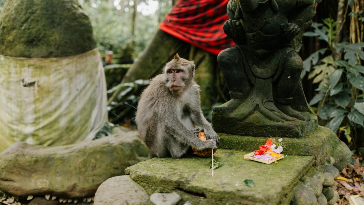 Minimum viable research (MVR): ako zistiť, čo je skutočne 'dosť' na seminárnu prácu