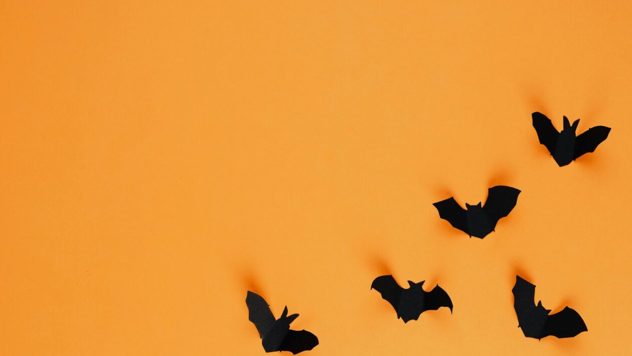 Multiple choice skúšky: eliminácia a flagging pre vyššie skóre (bez uhádania)