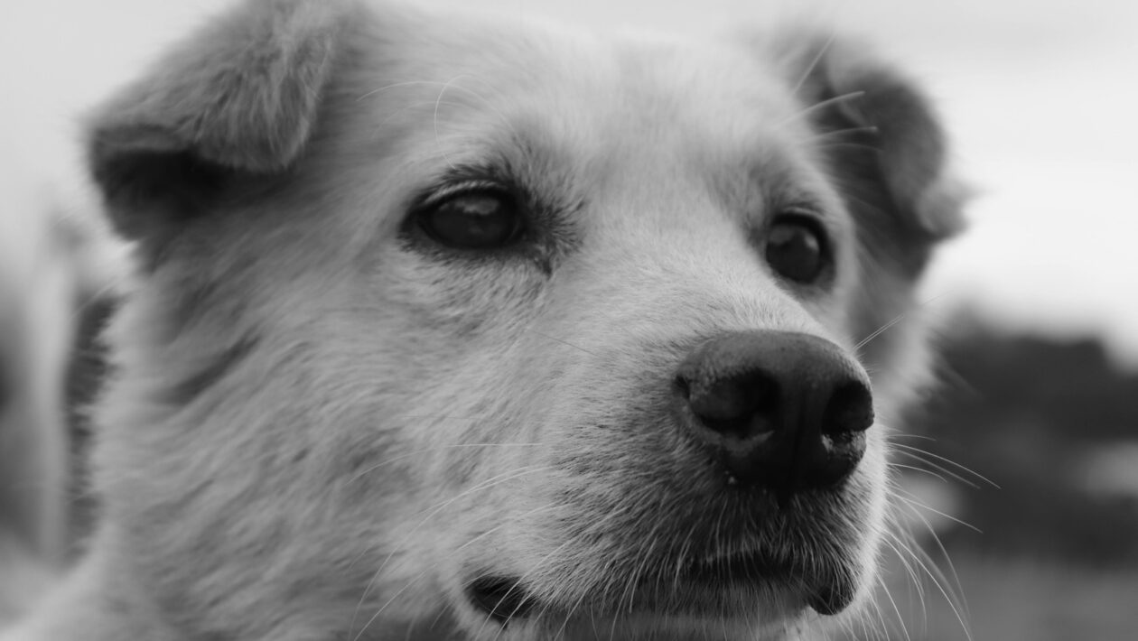 Mikro-kredity a certifikáty: ktoré z nich majú skutočnú váhu u zamestnávateľa