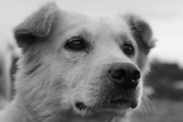 Mikro-kredity a certifikáty: ktoré z nich majú skutočnú váhu u zamestnávateľa