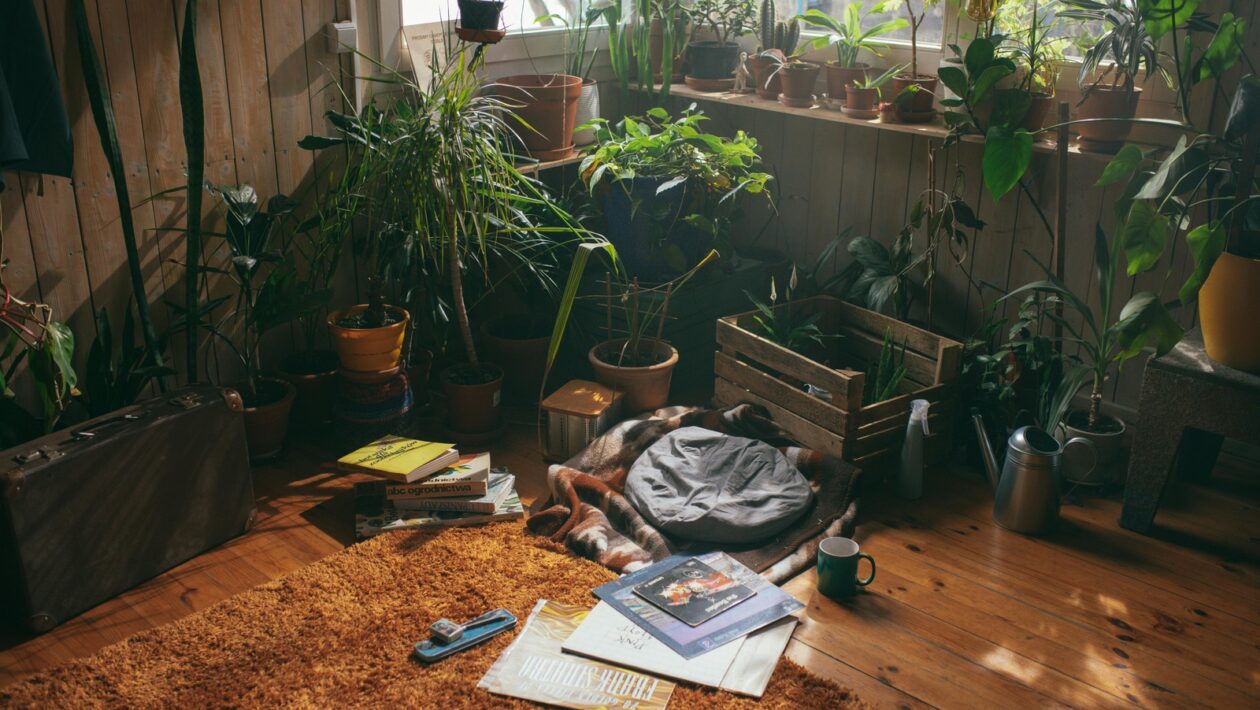 Peer-tutoring: naučte niekoho iného a zvýšte svoju vlastnú retenciu informácií