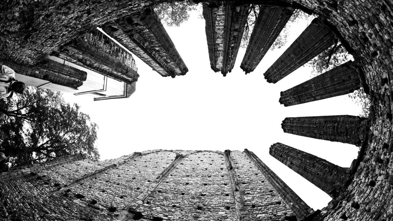 Verejné dáta: ako vytvoriť profesionálny graf bez náročného DTP softvéru