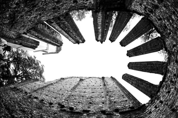 Verejné dáta: ako vytvoriť profesionálny graf bez náročného DTP softvéru