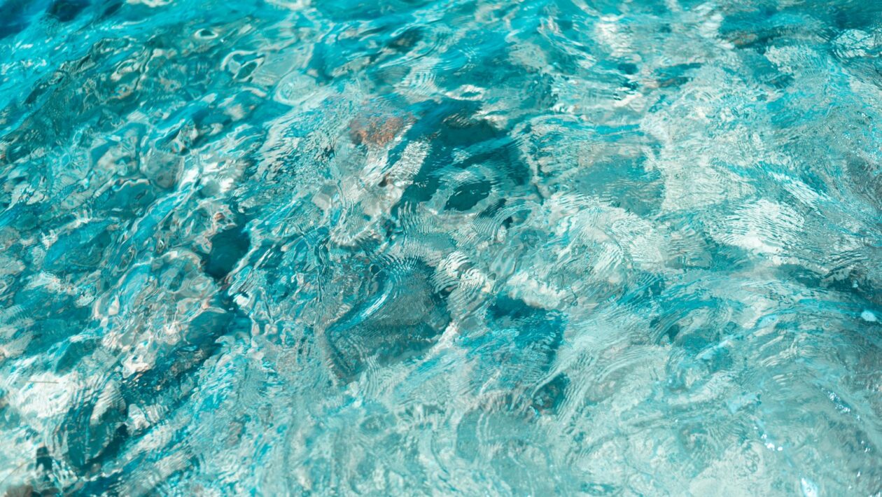 Fázové kontrolné zoznamy: téma, zdroje, text a odovzdanie pre hladký priebeh práce