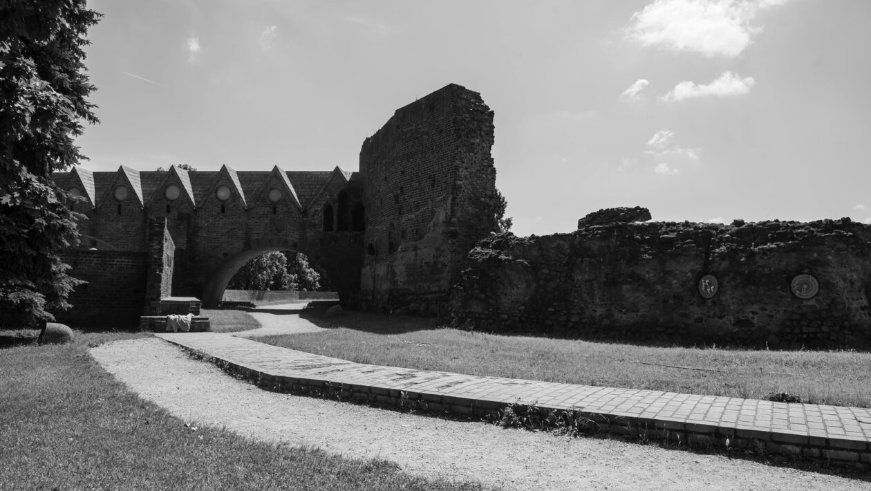 Office hours a mentoring: ako získať maximum podpory od vyučujúcich