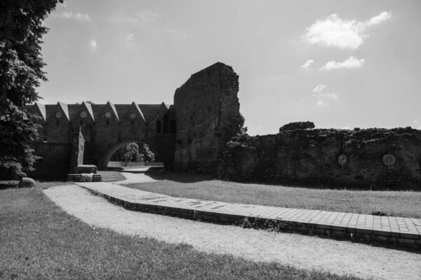 Office hours a mentoring: ako získať maximum podpory od vyučujúcich